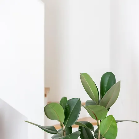 Ξενοδοχείο με διαμερίσματα Santo Stefano Loft