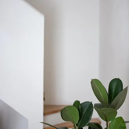 Ξενοδοχείο με διαμερίσματα Santo Stefano Loft