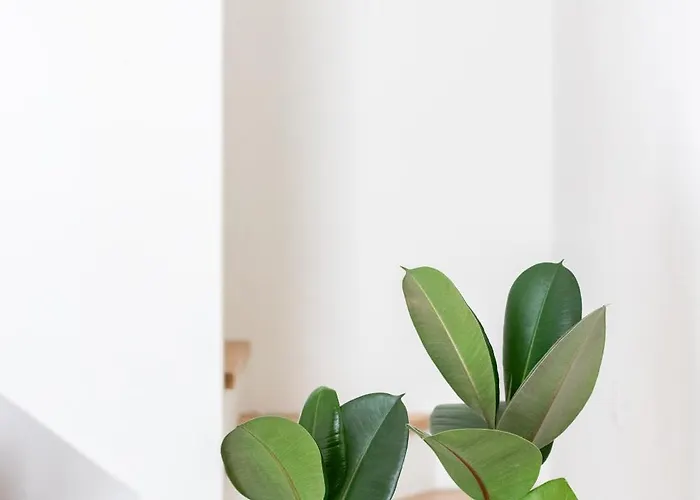 Ξενοδοχείο με διαμερίσματα Santo Stefano Loft