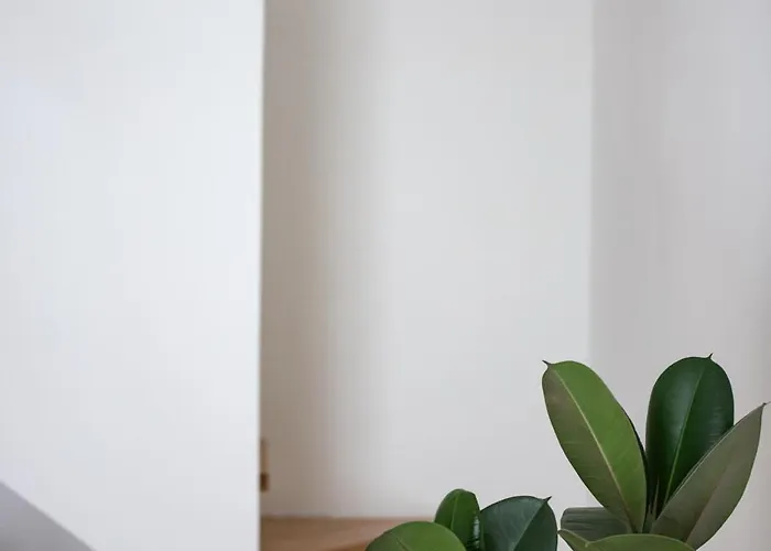 Ξενοδοχείο με διαμερίσματα Santo Stefano Loft